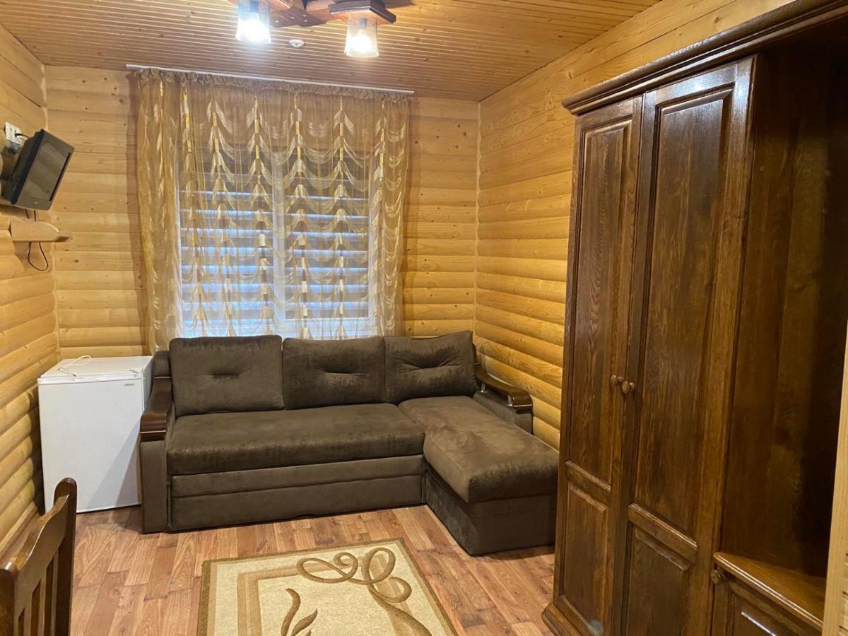 Villa Vlad & Spa バコヴェル エクステリア 写真