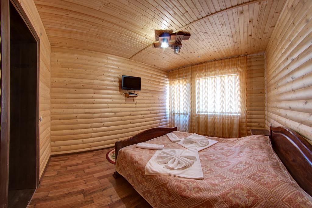 Villa Vlad & Spa バコヴェル 部屋 写真