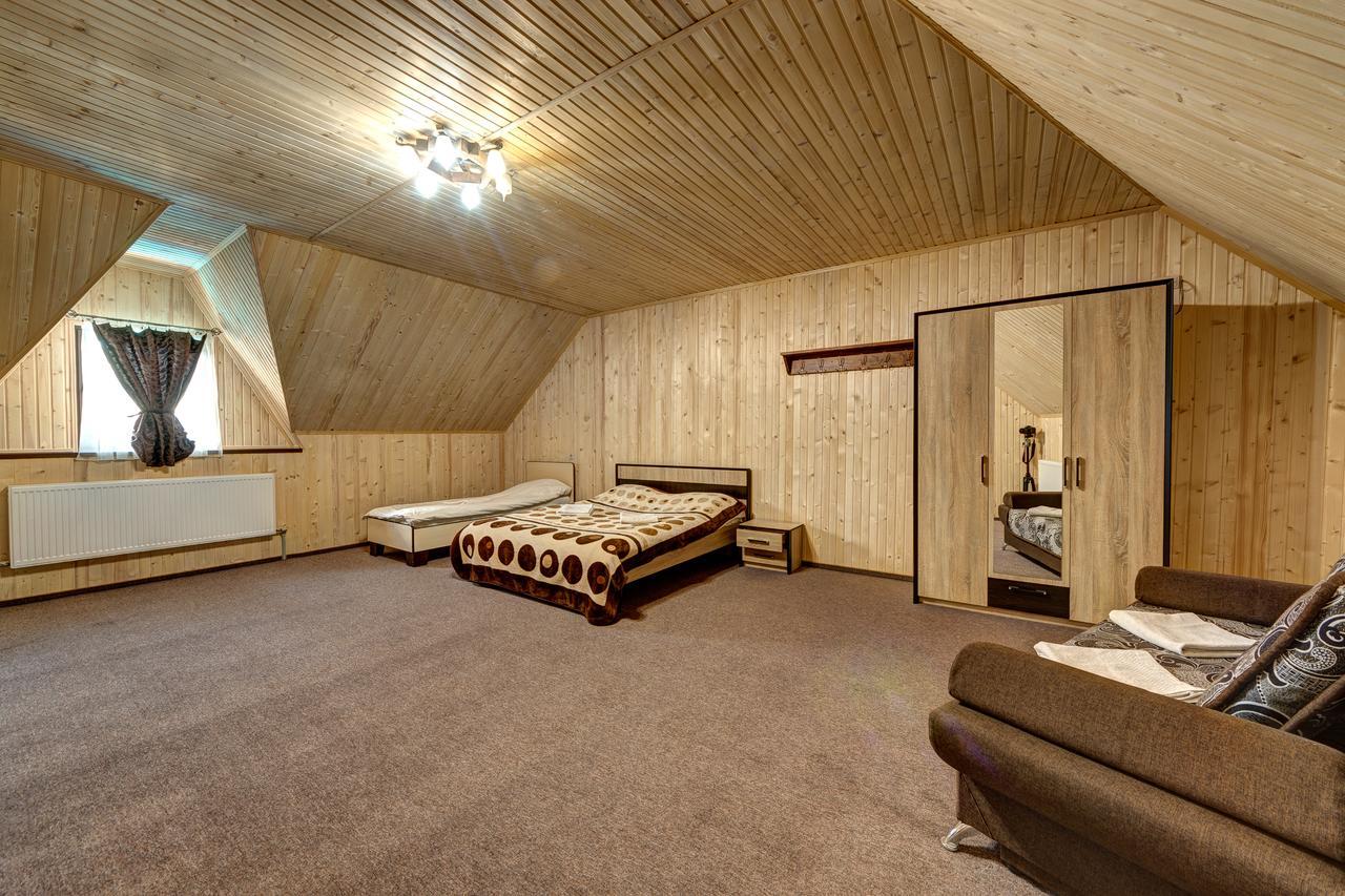 Villa Vlad & Spa バコヴェル エクステリア 写真